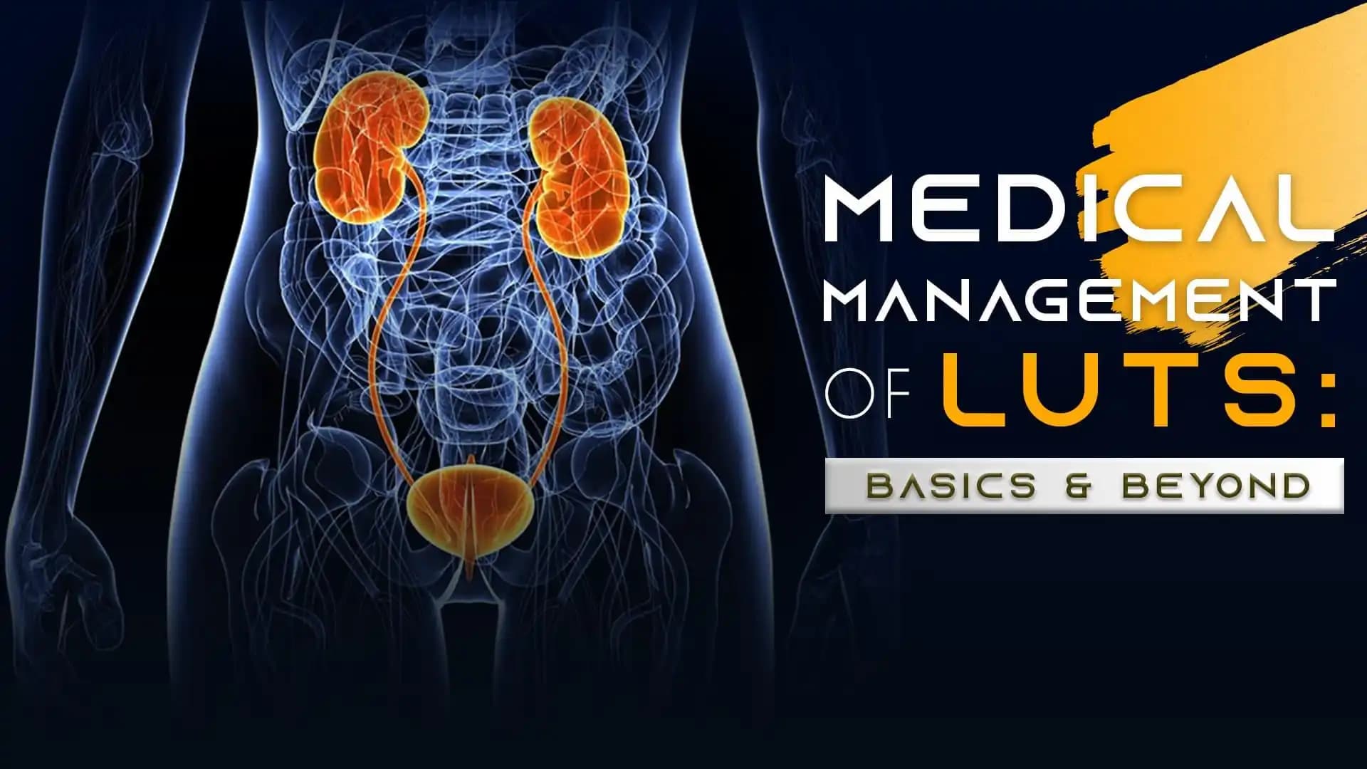 Medical Management of LUTS: Basics & Beyond