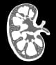 Nephrology