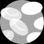 Hematology