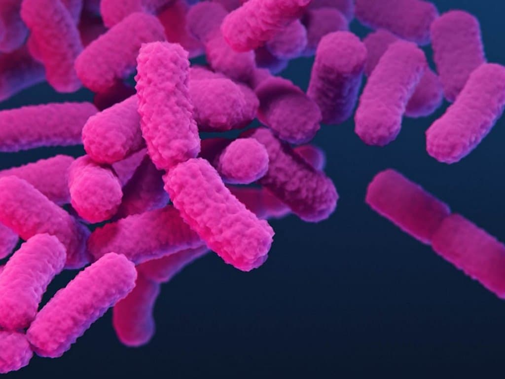 Risk factors for CRE infection in acute pancreatitis patients