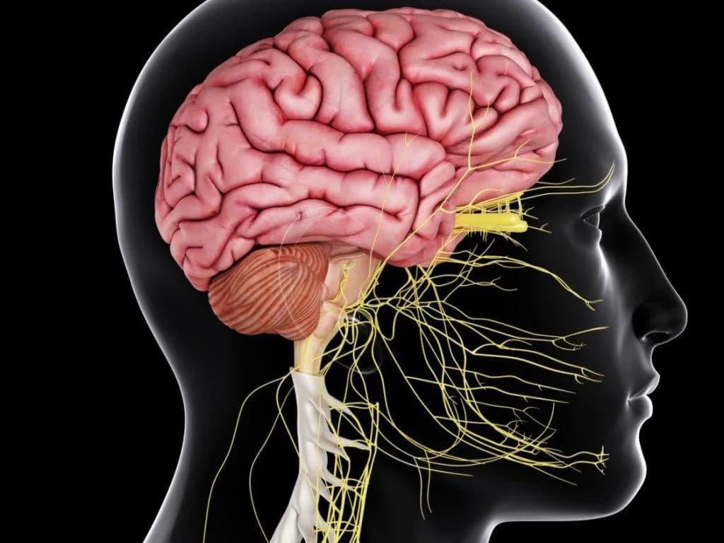 MoCA can predict cognitive impairment in SLE patients