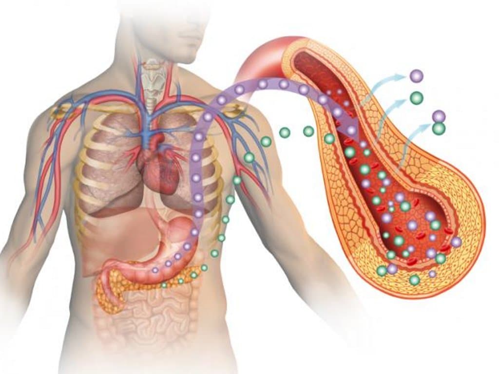 Hypomagnesemia contributes to impaired glucose metabolism in GS patients